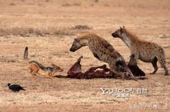 面对社会上的恶人我们应该怎样,面对畜生一样的人怎么办
