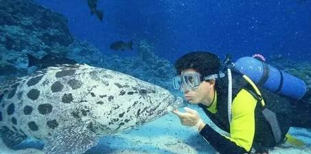 虽然你穷但是什么都懂,虽然你穷但是我爱你