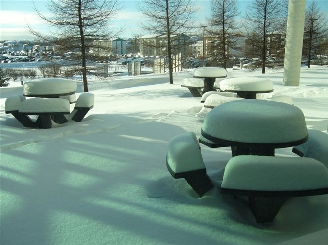 魁北克大学介绍，算是给要去留学的同学一点帮助吧