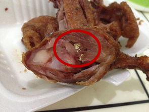 网友在火锅店吃出蓝环章鱼,网友疑似在餐厅吃出蓝环章鱼