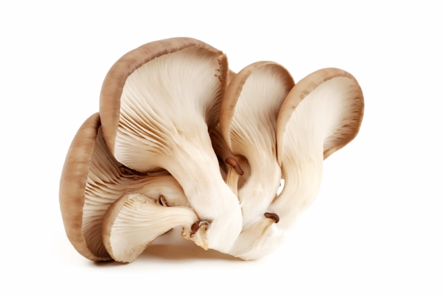 各种降糖药的介绍,降糖药是不是什么食物都可以吃