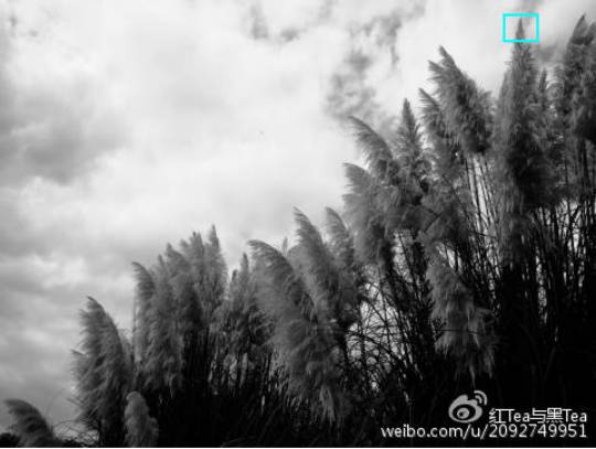 OLYMPUSPEN-F开发团队访谈