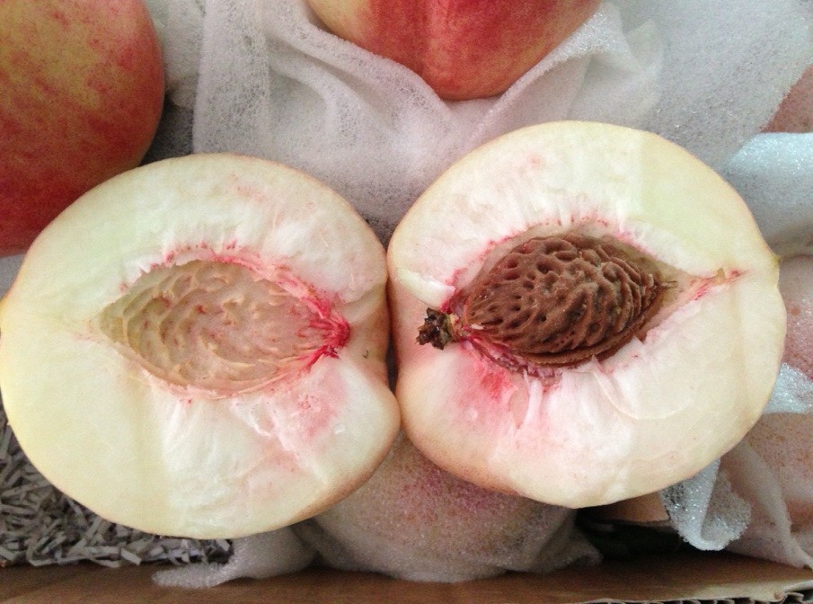 全民撕逼：脆桃好吃？软桃好吃？厦门人说……