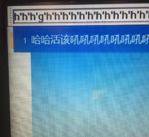 狗狗为什么如此热衷于拆家,拆家的狗狗该不该打