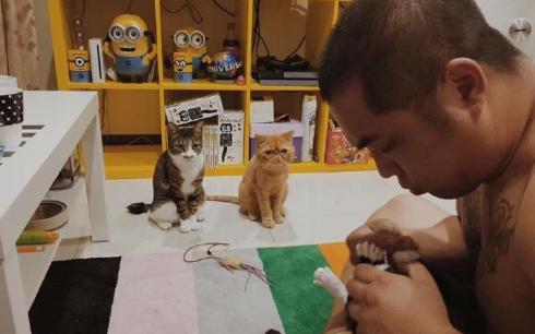 狗狗为什么如此热衷于拆家,拆家的狗狗该不该打