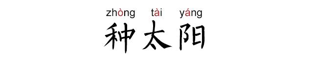 一起种太阳是什么梗,长大我要种太阳是什么梗