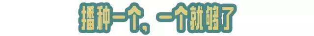 一起种太阳是什么梗,长大我要种太阳是什么梗