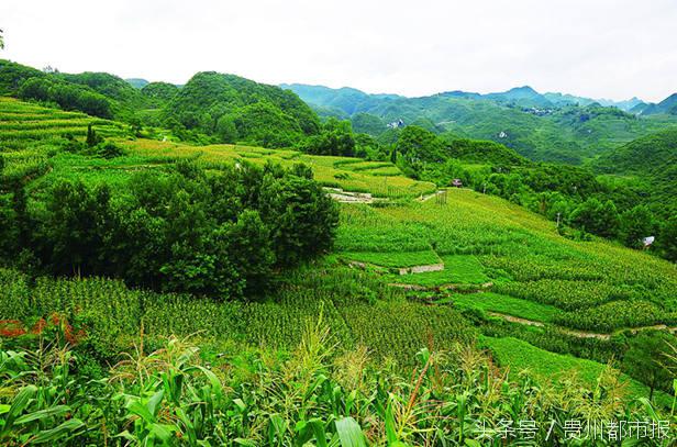 杨桦织金县委书记,与领导干部谈生态文明