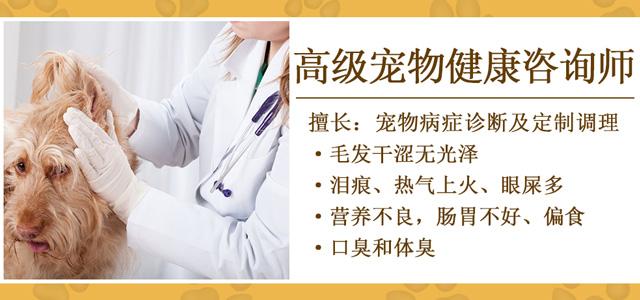 另类宠物推荐,智利火玫瑰狗狗