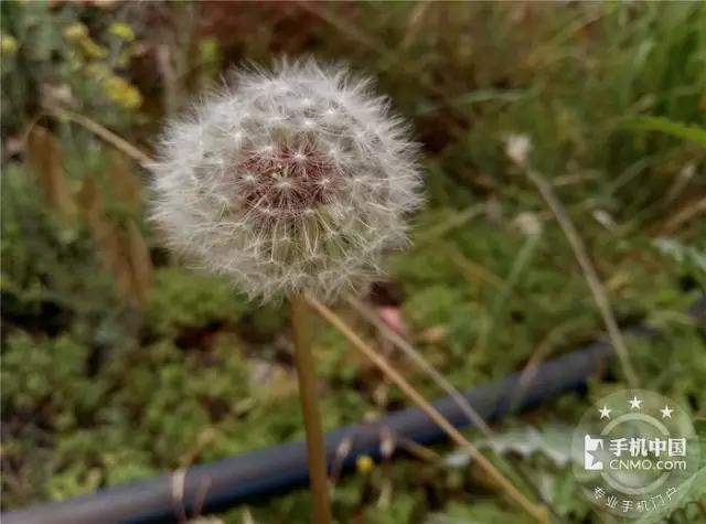 魅蓝3s是最好的一款吗,魅蓝3s100多块钱的怎么样