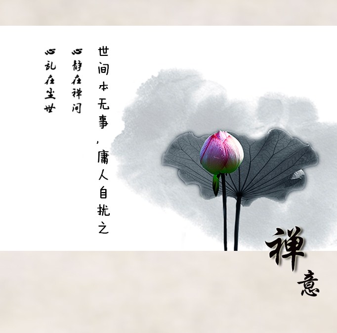 一花一世界一叶一菩提人生感悟,一花一世界一树一菩提一切皆随缘