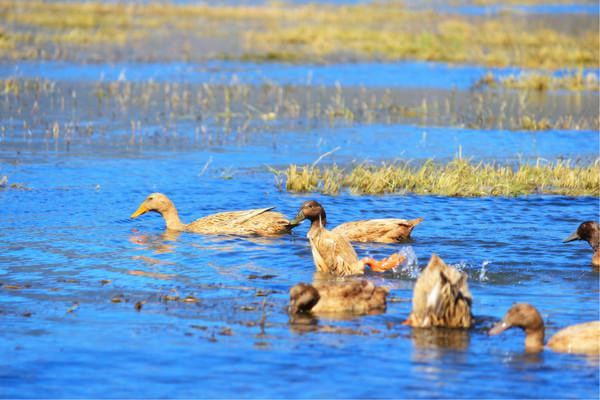 人生若只如初见在广州,人生若只如初见云南