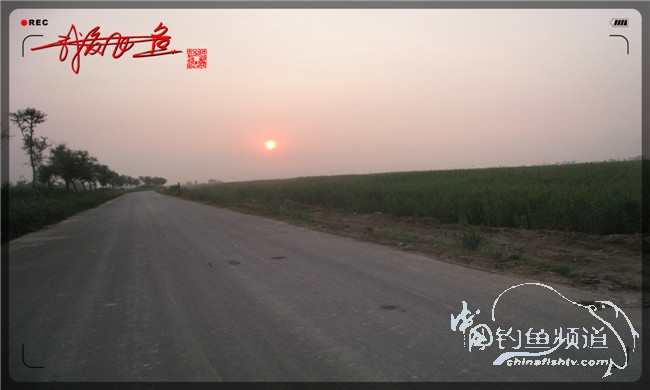 马踏湖国家湿地公园远足,马踏湖国家湿地公园游览路线