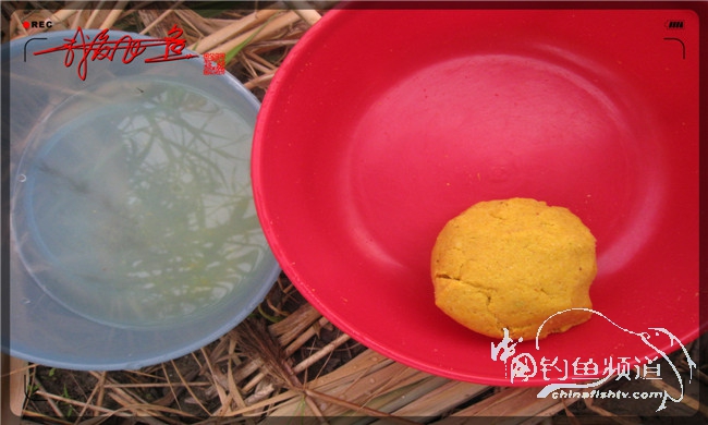 马踏湖国家湿地公园远足,马踏湖国家湿地公园游览路线