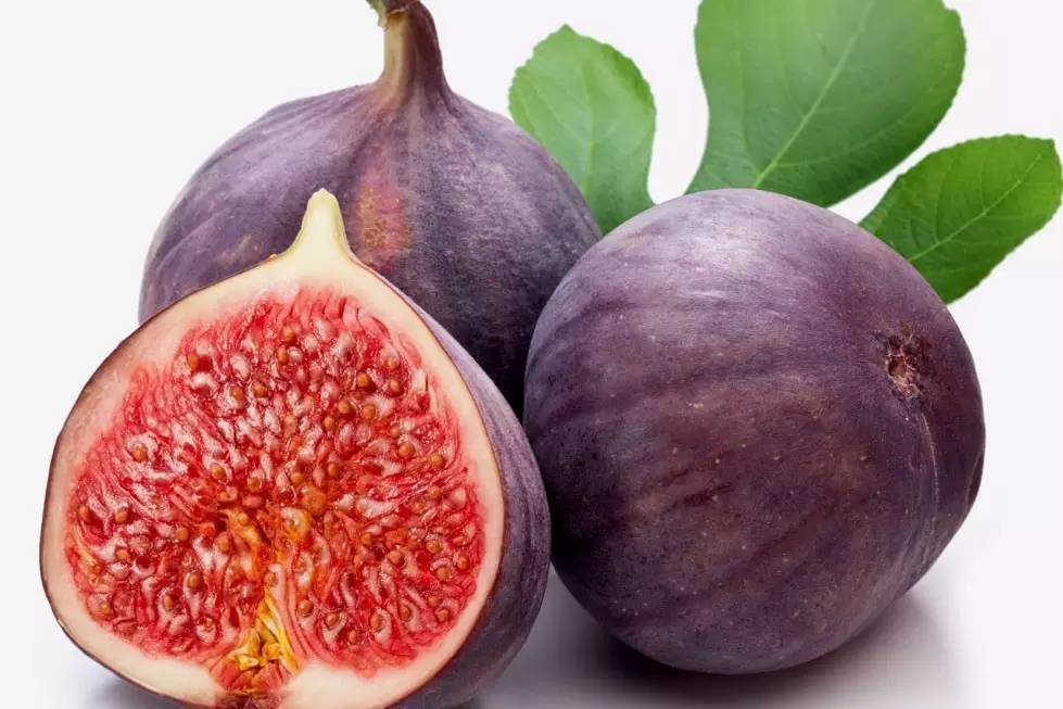 植物果实怎么分类,植物果实的分类