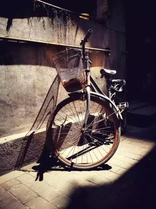 点赞他们的高光时刻,大家用手机拍出过什么好看的照片