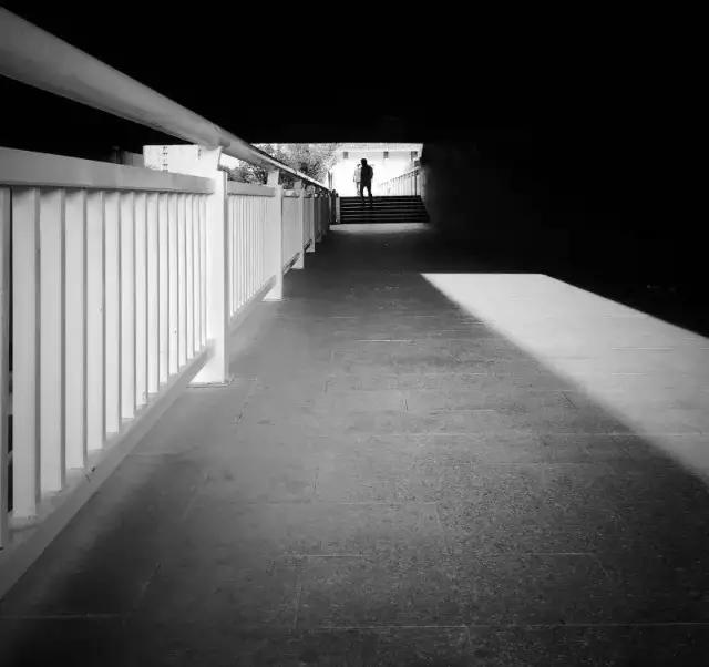 点赞他们的高光时刻,大家用手机拍出过什么好看的照片