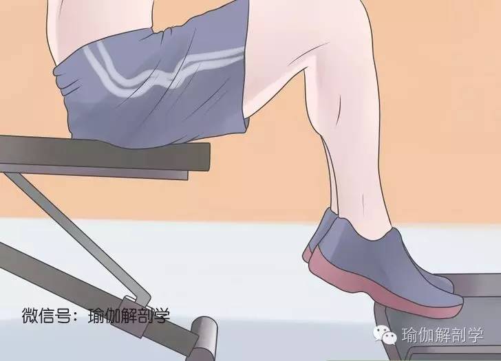 不能下地的怎么锻炼小腿,你的小腿怎么练