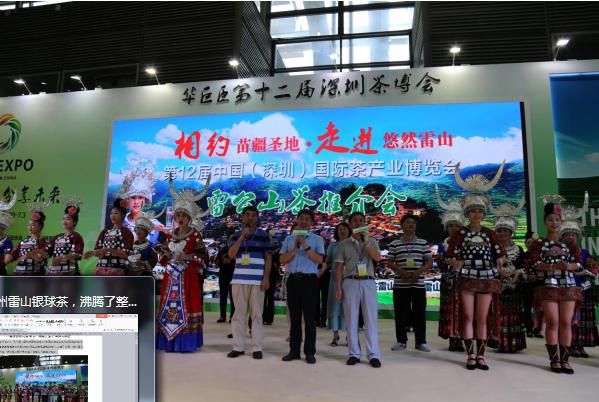 雷山银球茶中国茶博会,贵州雷山银球茶特级