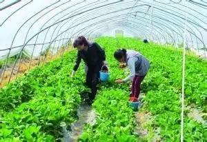 吃完这100种美食、看过这100种风景,可能再也离不开太仓!