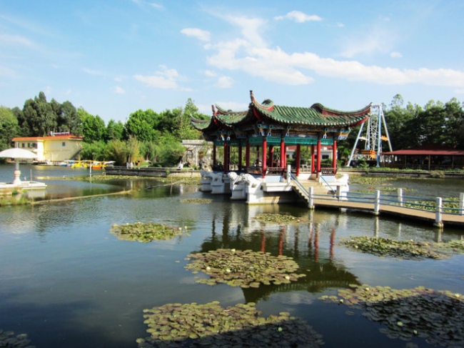 人文自驾国足主帅高洪波、前米卢都青睐的昆明海埂基地周边景观