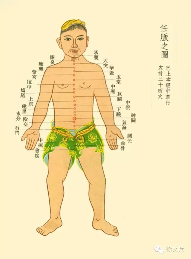 字里藏医合集,字里藏医完整视频