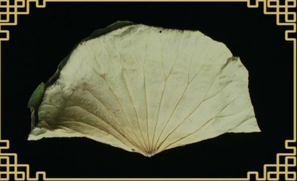 消暑加减肥，喝出好身材！