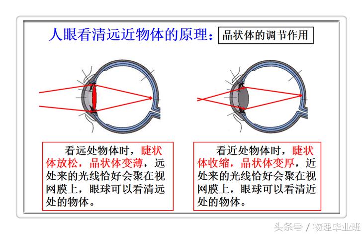 近视眼和远视眼的物理图片大全,物理近视眼远视眼的成因及矫正图