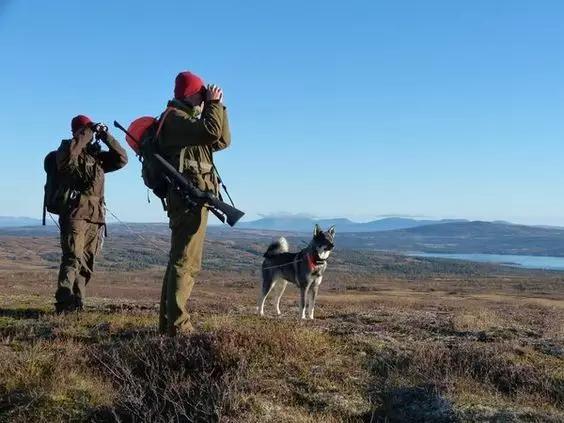 尊重狗,就让它像狗一样的生活!