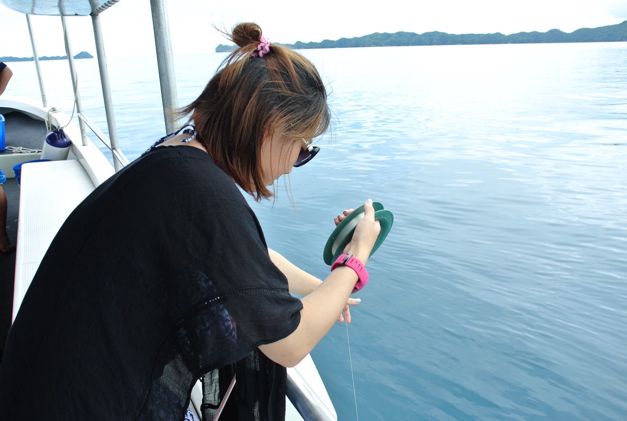 帕劳怎么玩,帕劳要准备什么