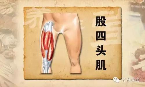 膝盖疼痛抽筋用什么药,腿膝盖突然疼痛像抽筋怎么治疗