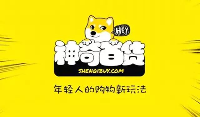 王凯歆：创业神童奇葩路，95后电商神话难服众