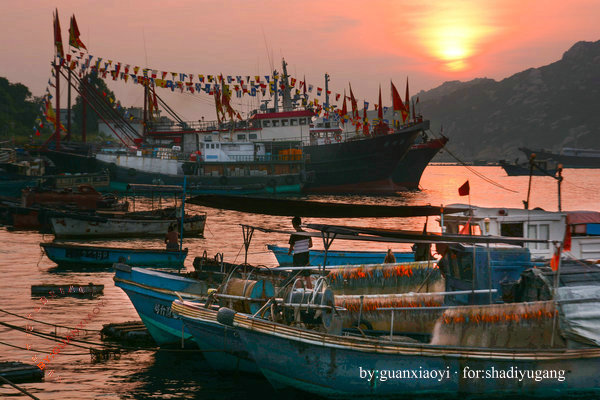 别让水印成为尴尬-摄影早自习第84日