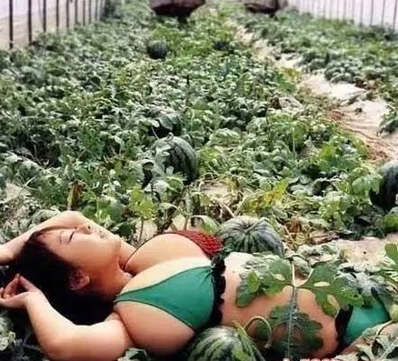 段子：放屁把肠子嘣出来了，又给塞回去了!