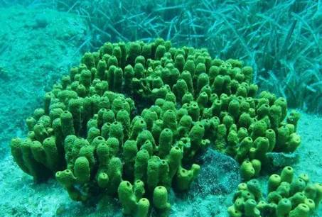 虽然你穷但是什么都懂,虽然你穷但是我爱你