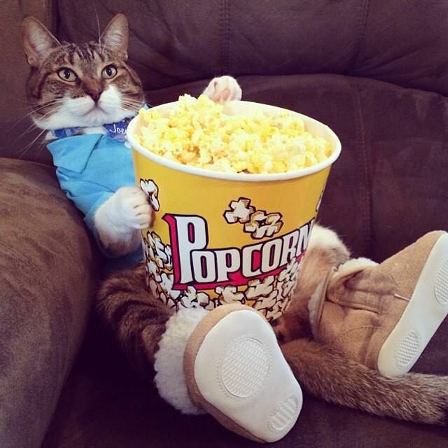 欧洲杯观赛指南赛程表,欧洲杯决赛主场门票