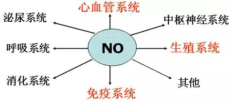 腰痛针灸放血疗法,糖尿病针灸放血疗法