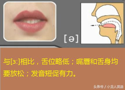 全网最快学习音标,零基础自学音乐音标