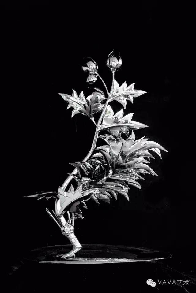 音乐家LisbethScott:通过音乐讲述树的故事