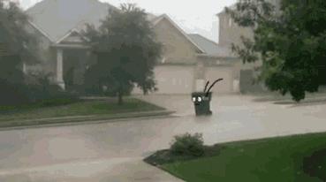 台风最新消息19号路径,福建龙海台风