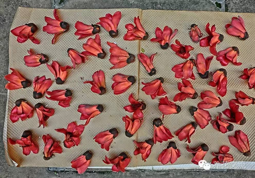 干花制作后怎么用,玫瑰干花怎么做成手工永久保存