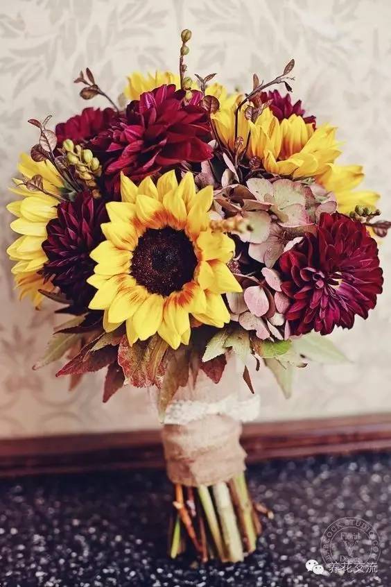 干花制作后怎么用,玫瑰干花怎么做成手工永久保存