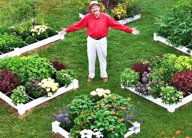 一米菜园风靡全球,一米菜园经营模式怎么样