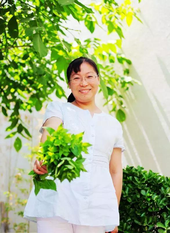 种一盆香水熏衣草，然后把它变成花糖和饼干！