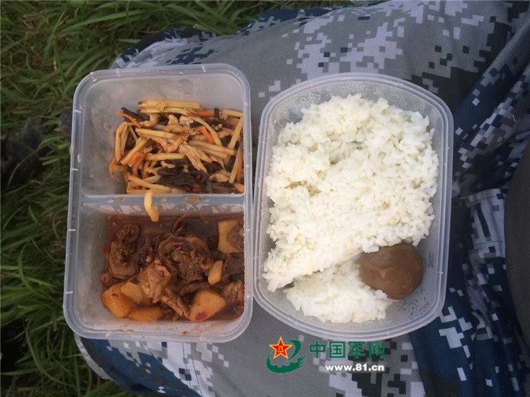 解放军快速反应营,解放军强悍的火力