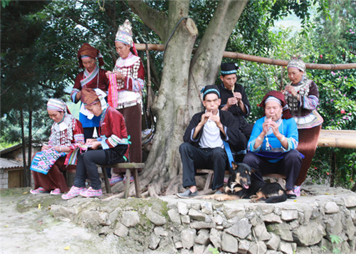 红河州少数民族最多的县市,红河州的少数民族有哪些