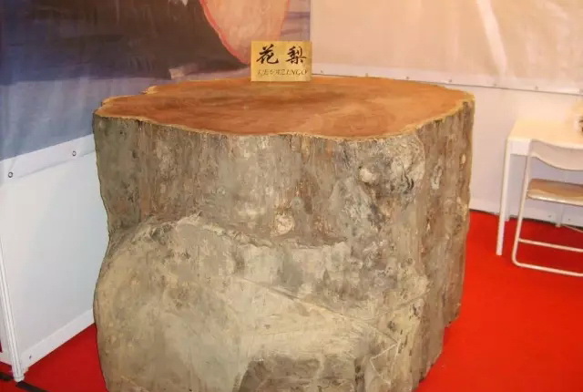 刺猬紫檀禁止出口会怎样,刺猬紫檀现在恢复出口了吗