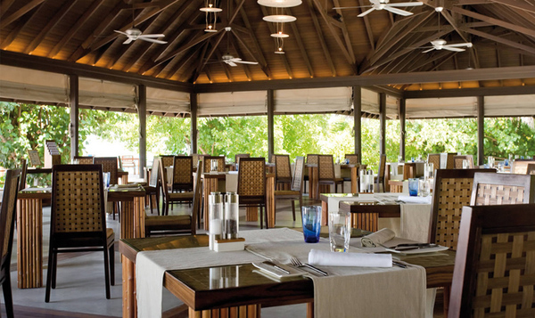 美佳航空途牛,马尔代夫美佳航空飞机