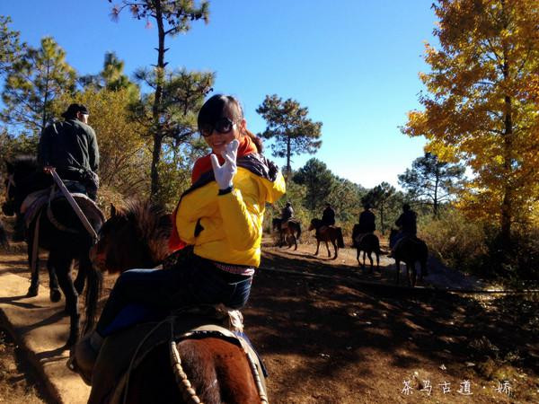 人生若只如初见在广州,人生若只如初见云南