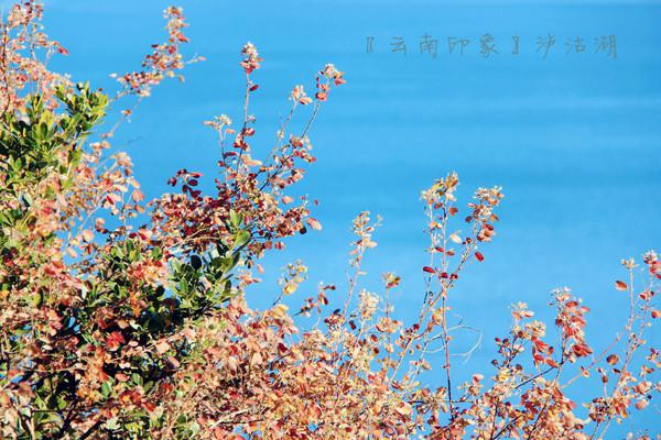 人生若只如初见在广州,人生若只如初见云南